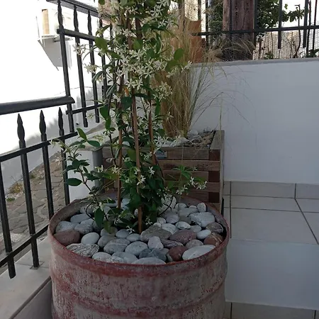 Апартаменты Limonospito *