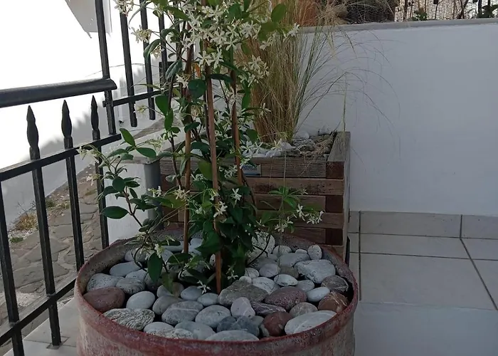 Appartement Limonospito *